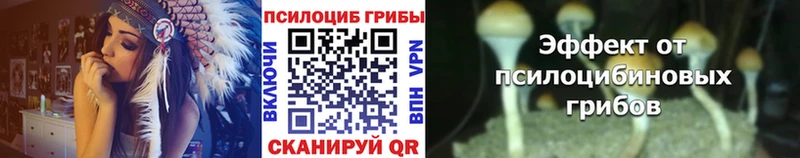 Галлюциногенные грибы Cubensis  Можга 