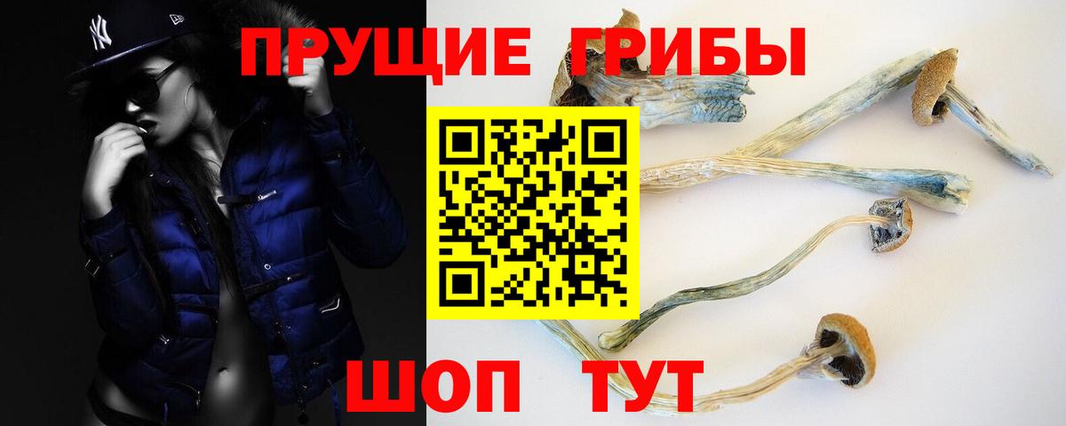 Псилоцибиновые грибы Cubensis Можга