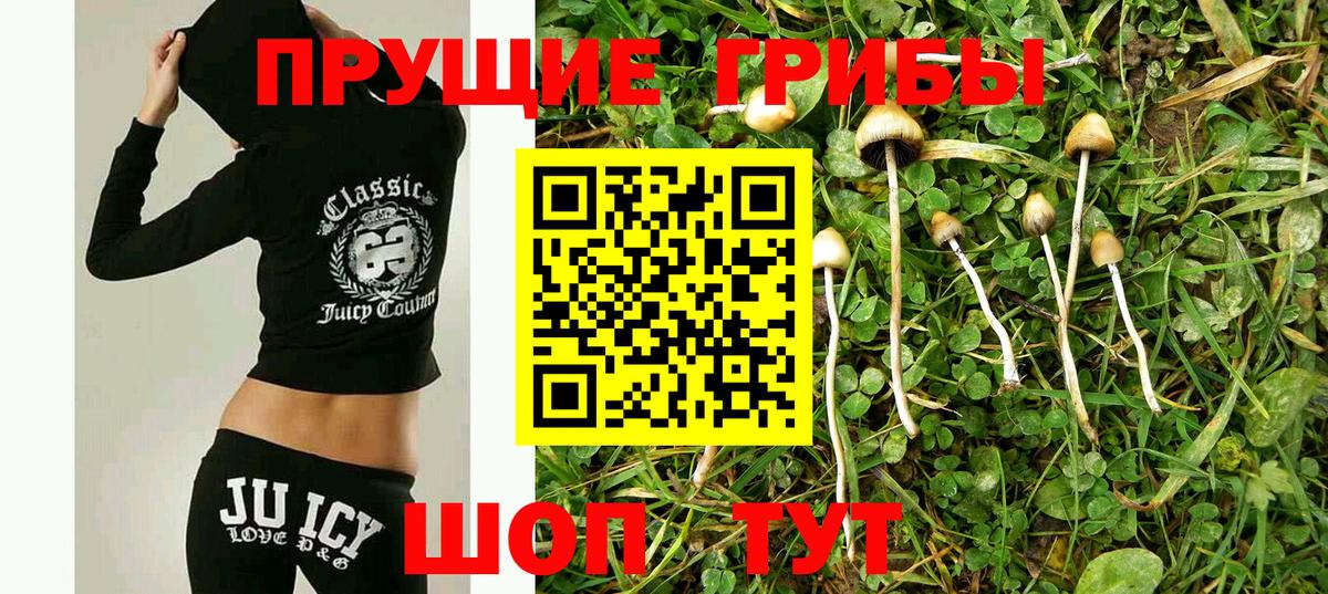 Галлюциногенные грибы мухоморы  Галлюциногенные грибы MAGIC MUSHROOMS  Можга  Вход с VPN 