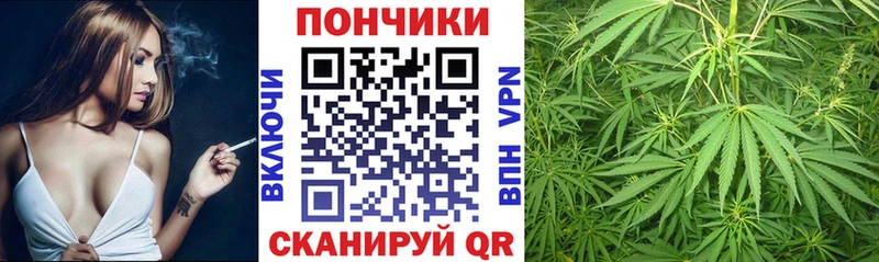 мега зеркало  купить   Можга  МАРИХУАНА сатива 